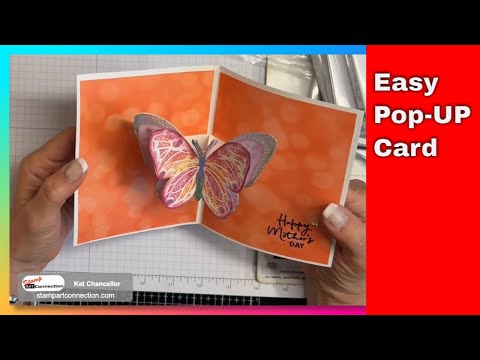 Beautiful Butterflies Spring