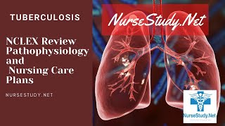 Tuberculosis NCLEX Pathophysiology Care Plan for Nursing Students