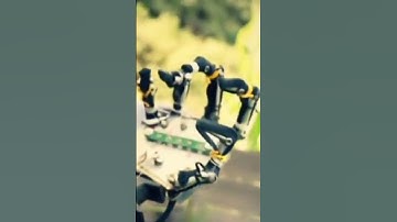 The guy who sacrificed his career for this #shorts