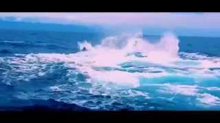 New Animal documentary 2015 Ocean Voyager Whale Documentary   The Biggest Sea Creatures