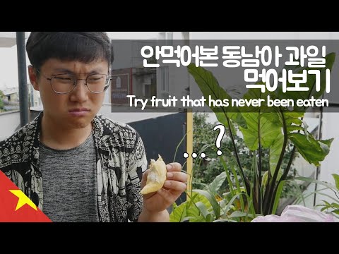 한번도 안먹어본 동남아 과일 먹어보기 【유라시아6】