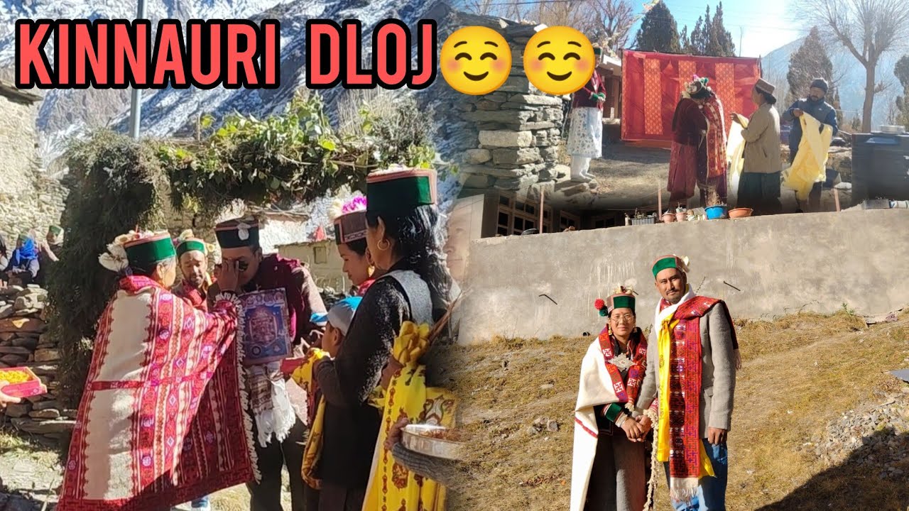 किन्नौरी दलोज।। (choti shadi) !! कुन्नो से टशीगंग दलोज।।  sister ka dloj!! #kinnaur  #kinnaur