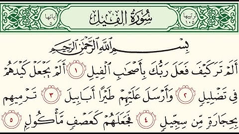 سورة الفيل بصوت الشيخ ماهر المعيقلي جودة عالية