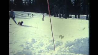 Skiing on Four Legs