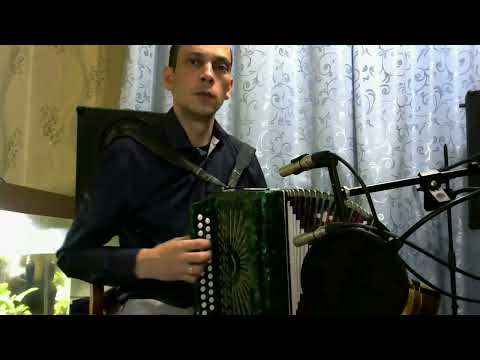 30 лет Сектор Газа Гармонь минусовка