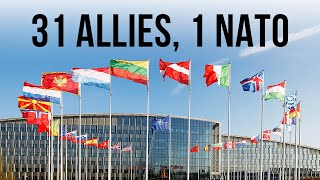 31 Allies, 1 NATO