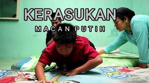 Anak Ini KERASUKAN MACAN PUTIH (Part-2)