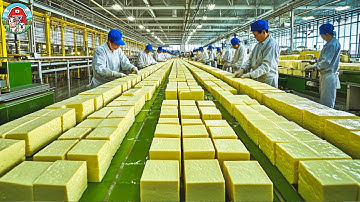 How TOFU Is Made By Chinese In Modern Factories | Fresh TOFU Processing In Factory - Food Production