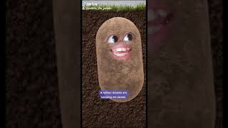 A Million Dreams - Potato Edition