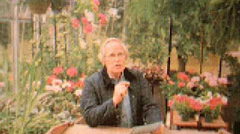 Crocketts Victory Garden - YouTube