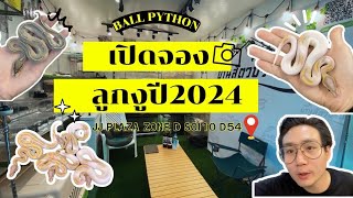 บ้านสัตว์ประหลาด เปิดจองลูกงูปี2024สวยทุกตัว