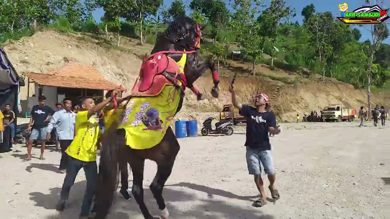 Sosok Dibalik Hebatnya Kuda Jingkrak Jack OT - Big Family Standing Horse Jack Ot