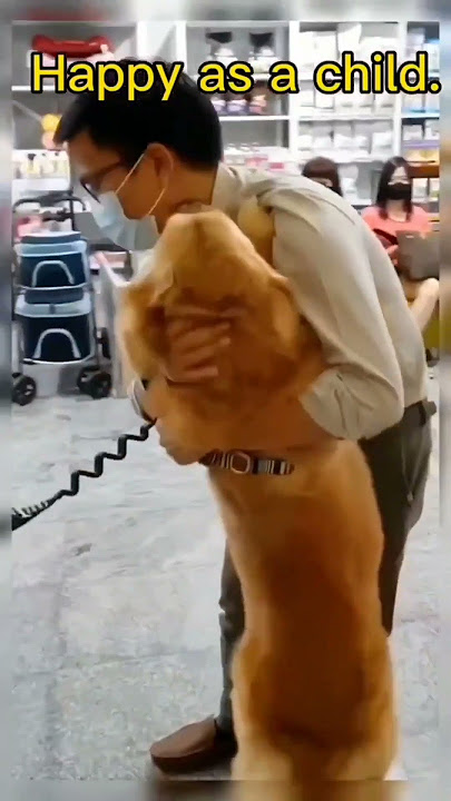 long distance relationship dog vs owner bond 😍❤️😍