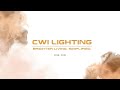 CWI Lighting - 25 years of a legacy built on quality and trust!!