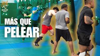 The real BENEFITS of TRAINING MMA