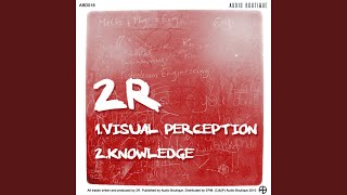 Visual Perception