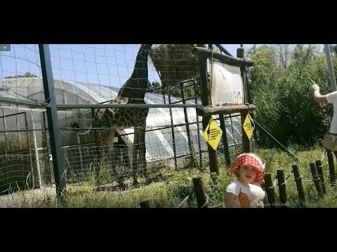 ВЛОГ Танюши в САФАРИ ПАРКЕ  СОЛНЕЧНЫЙ ОСТРОВ.
