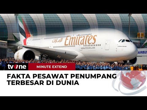 Video: Profesi di seluruh dunia: daftar, peringkat. Profesi paling langka di dunia