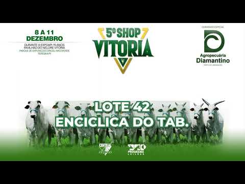 LOTE 42   FTBO A947