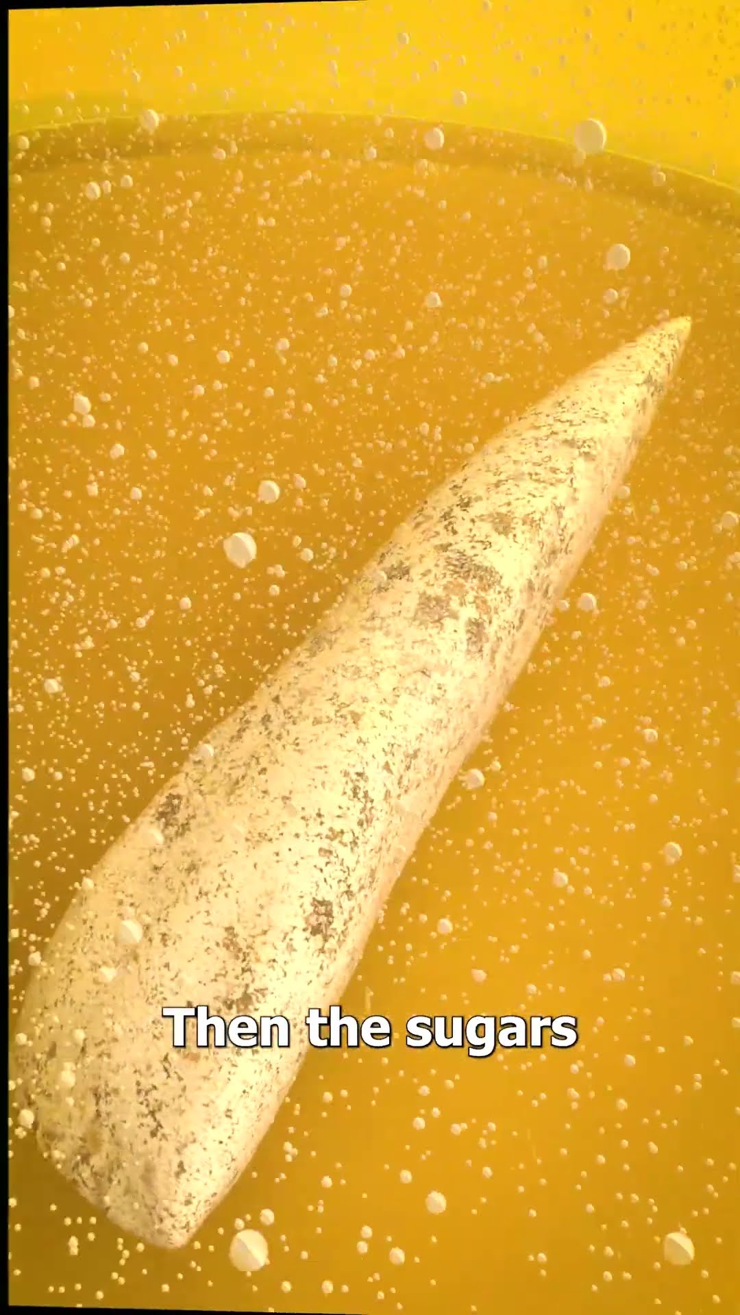 Leaving A Tooth In Soda? ?