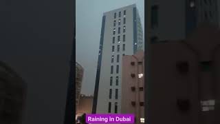 Havye Rain in Dubai viral reels shorts travel dubai