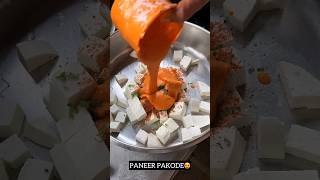 paneer tikka masala? shorts paneer pakoda