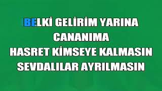 Musa Eroğlu Telli Turnam Karaoke