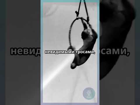 «За кадром»: Что происходит на съёмках трюков? #закадром #кино #IQCheck #shortvideo #shorts