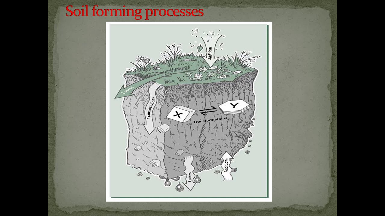 Soil Forming processes  ppt