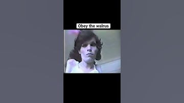 Most cursed videos on youtube (⚠️TW⚠️) #shorts