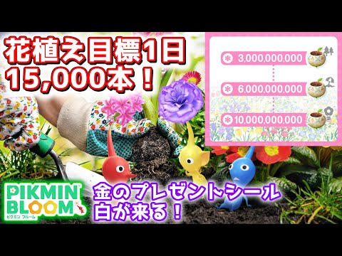 【ピクミンブルーム】金のプレゼントシール白がやってくる！アースデイイベント！【Pikmin