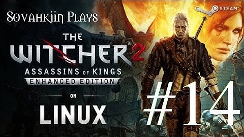 Sovahkiin Plays on Linux: Witcher 2 - Episode 14