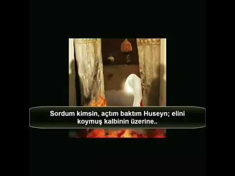 Hz. Fatıma'nın şəhadəti - Salman'ın anlattığı hadise