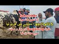 Subscriber Ka Naseeb Ka Soda | Sohrab Goth Cow Mandi.