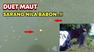 DUET MAUT MANCING DI SARANG NILA BABON !!