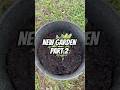 Starting a new garden #garden #gardeningideas #gardening