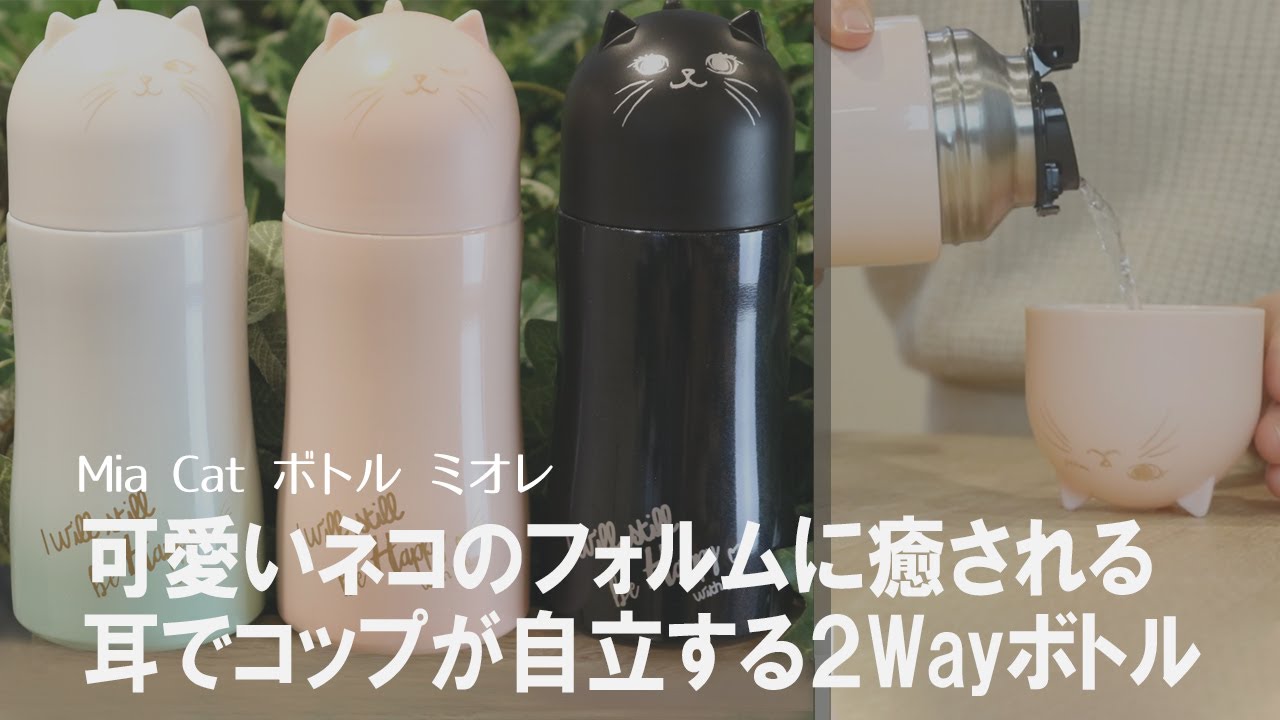 在庫限り 入荷なし 水筒 ステンレス 直飲み コップ 2 リビングート ポンパレモール店 ポンパレモール