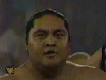 Owen Hart And Yokozuna Vs Williams And Thornburg