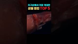 공룡보다 거대하다고? 지구상에서 가장 거대한 생물 TOP 5
