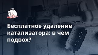 Бесплатное удаление катализатора — стоит ли рисковать?