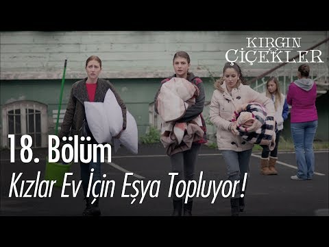 Kızlar ev için eşya topluyor! - Kırgın Çiçekler 18. Bölüm