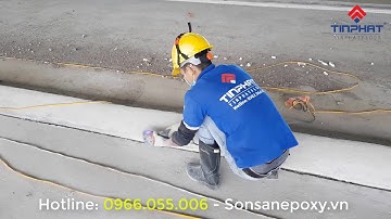 Giai đoạn 1: Thi công sơn epoxy dự án trang trại bò sữa TH Milk Phú Yên