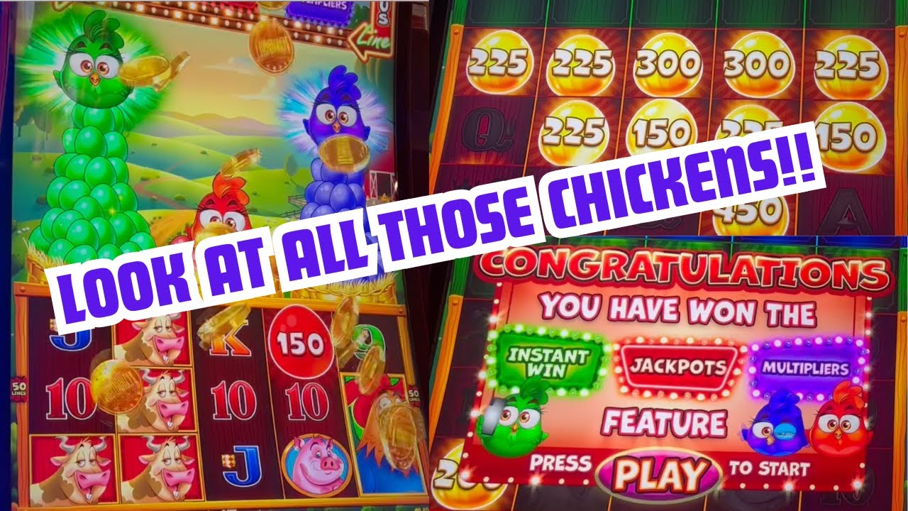 Нет времени на пустую болтовню. ДАВАЙТЕ ЗАБЕРЕМ ЭТИХ СУМАСШЕДШИХ КУРИЦ!!