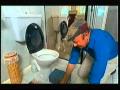 Dr Harry toilet training Ocicats with Litter Kwitter の動画、YouTube動画。
