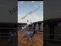 صاحبي يلعب وانا مثله لعوبي علياء البدويه
