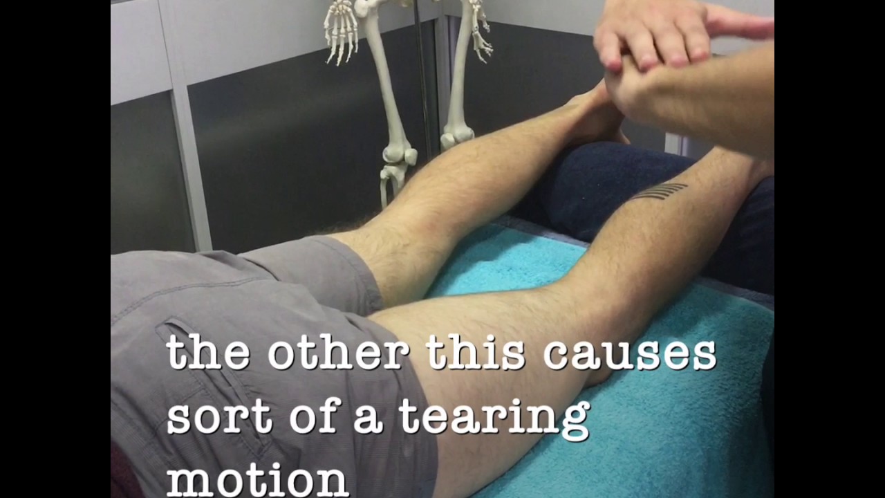 video editing software free IMG 5103