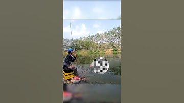 Cùng Kim Long đi câu Rô nào 😁 www.docautamnhan.com #chấp_tất_rô_phi