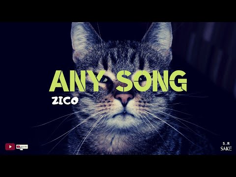 ZICO Any Song English Lyrics