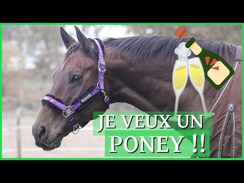 Vidéo: Comment se payer un cheval à l'adolescence