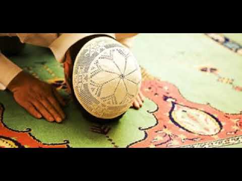 بين السائل والفقيه هل السهو في الصلاة يوجب سجود السهو